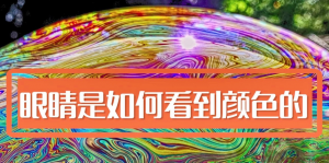 人類是如何看顏色的，影響人眼分辨顏色的因素有哪些?